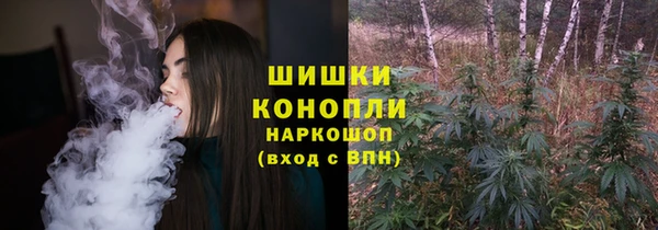 стафф Гусев