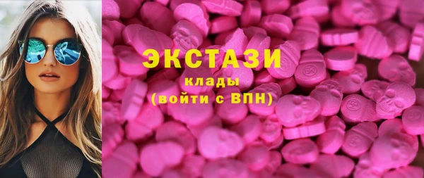 стафф Гусев